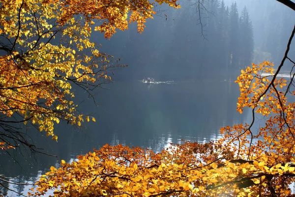 Lago Sinevir Las Montañas Cárpatas Paisaje Otoñal —  Fotos de Stock