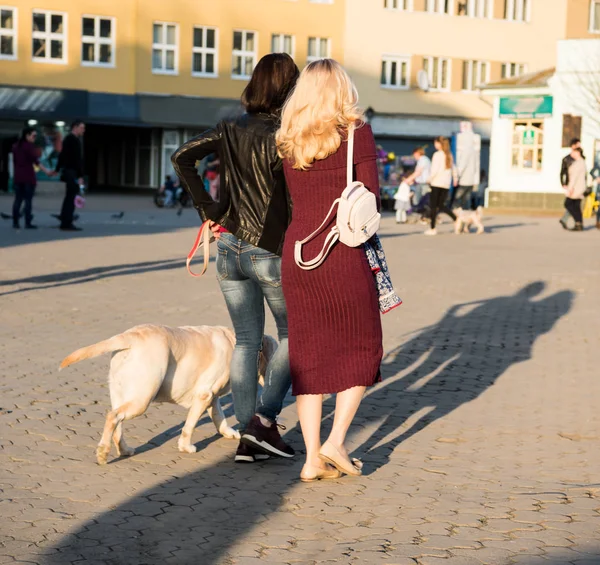 Femeile Plimbă Câine Stradă Ceaţă Viața Orașului — Fotografie, imagine de stoc