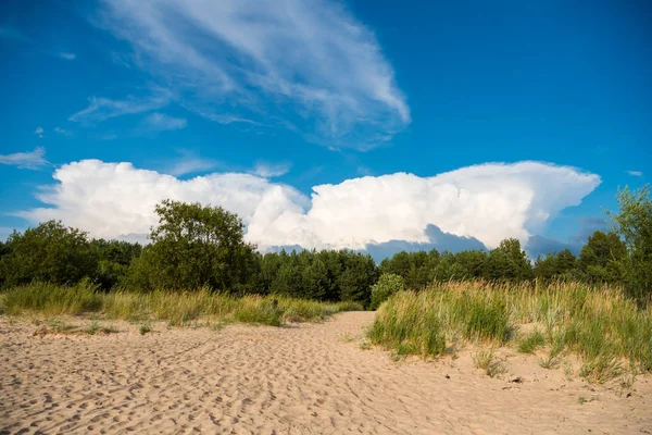 Балтийское Море Латвии Песчаные Дюны Соснами Облаками Типичный Балтийский Пляжный — стоковое фото