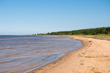 Letonya 'da Baltık Denizi kıyısında. Tipik Baltık deniz manzarası