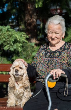 Yaşlı kadın sokakta Amerikan spaniel ile poz