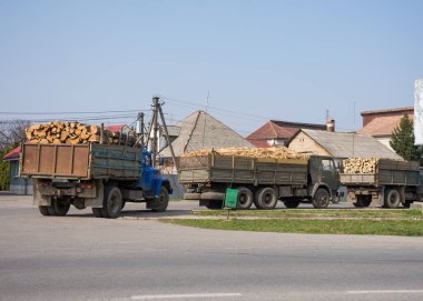 Bir yolda ahşap taşıyan kamyonlar