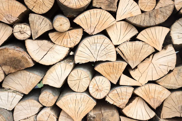 Montón de troncos de madera listo para el invierno — Foto de Stock