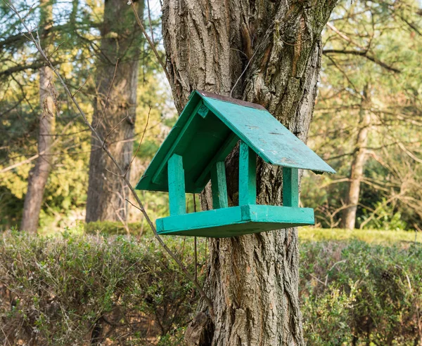 Groene Houten Voeder Voor Vogels Voeder Met Dak Voor Vogels — Stockfoto