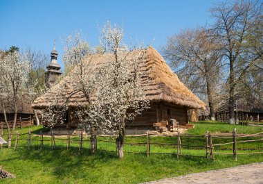 Bahar zamanında sazdan çatı ile eski ahşap ev
