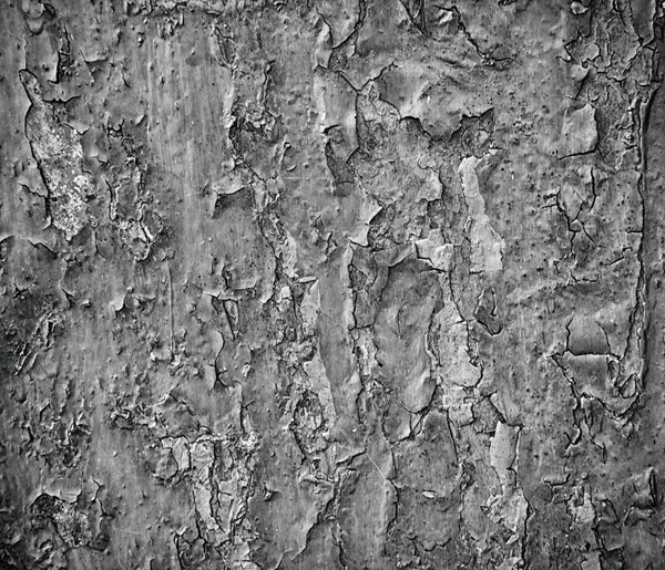 錆びた背景に古いペンキの残骸 — ストック写真