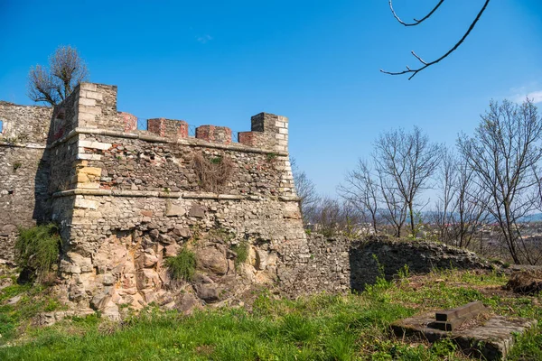 Uzhhorod slott i Ukraina på en solig vårdag — Stockfoto