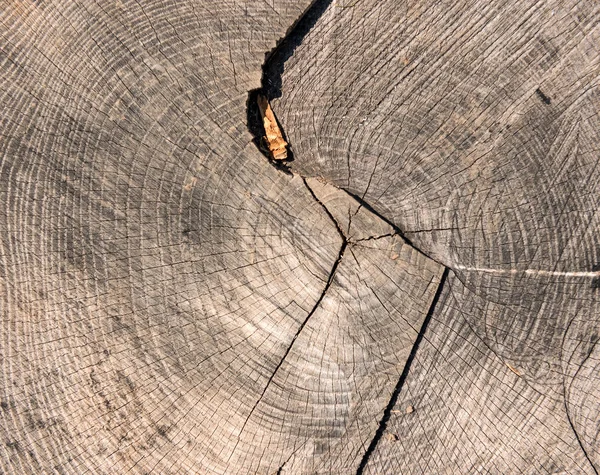 Fundo de textura de madeira velha. Textura de madeira castanha centenária — Fotografia de Stock