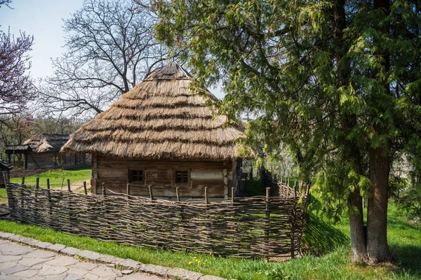 Старый деревянный дом с соломенной крышей весной — стоковое фото