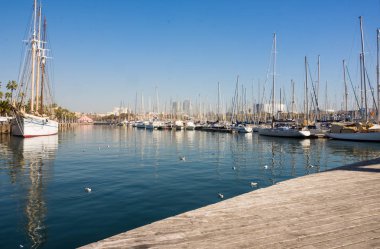 Barselona, Ispanya-Şubat, 22 2019: limana Yat Park o