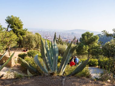 Barcelona Park Guelle büyük Agava