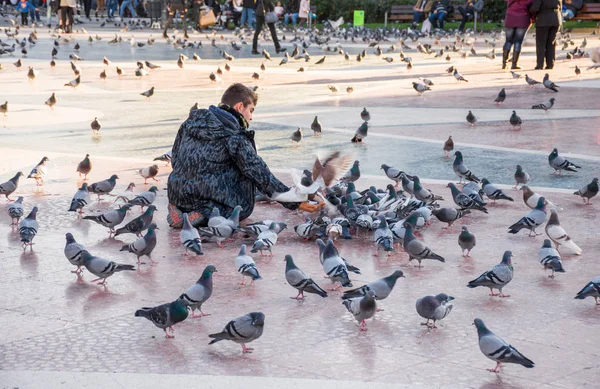 Adolescente menino feeging pombos no parque — Fotografia de Stock