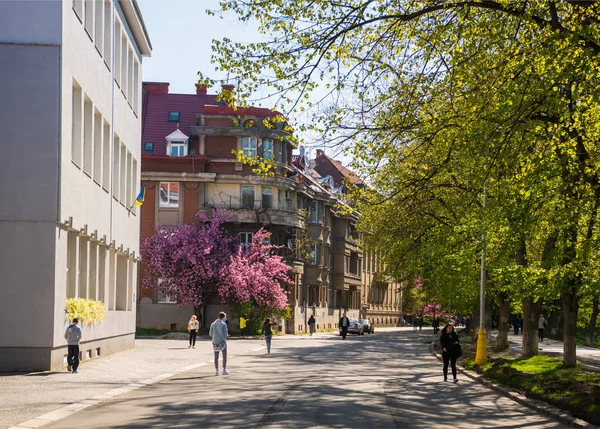 Użgorod, Ukraina 16 kwietnia 2019: Sakura kwitnie w Użg — Zdjęcie stockowe