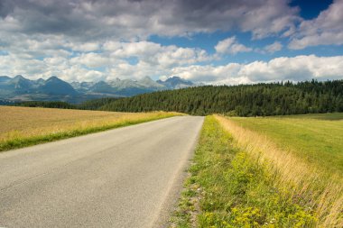 Dağlar ve yüksek Tatras yolda yaz doğal görünümü