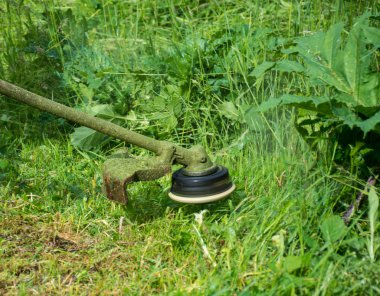 Elektrikli çim biçme makinesi ile çim kesme yakın