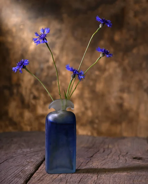 Artistic still life with beautiful blue cornflowers in vase — Stock Photo, Image