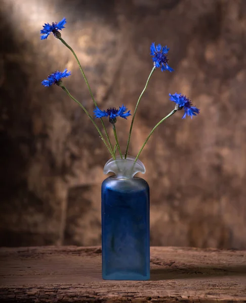 Vida morta artística com belas flores de milho azuis em vaso — Fotografia de Stock