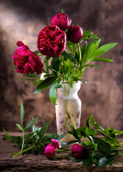 Artistic still life with peonies in vase — Stock Photo, Image