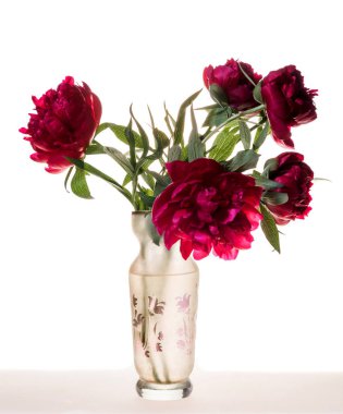 Vazoda kırmızı şakayıklarla sanatsal natürmort