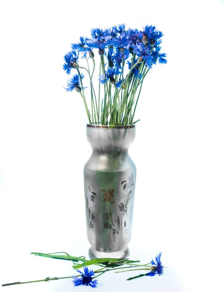 Still life with beautiful blue cornflowers in vase — Stock Photo, Image