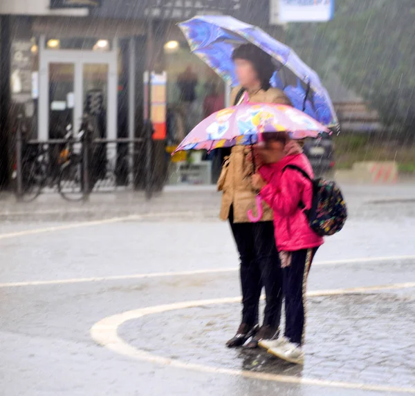 雨天，拿着雨伞的人在街上走着 — 图库照片