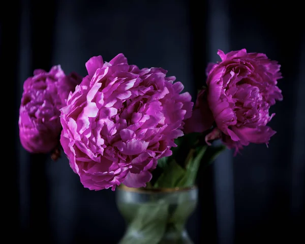 Natura morta artistica con peonie rosa in vaso — Foto Stock