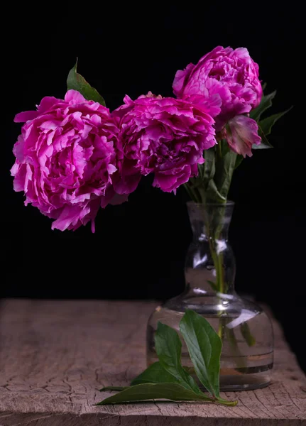 Bodegón artístico con peonías rosas en jarrón — Foto de Stock