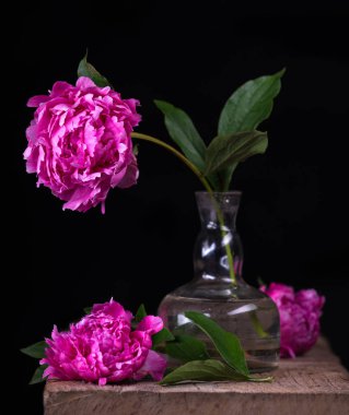 Vazoda pembe şakayıklarla sanatsal natürmort