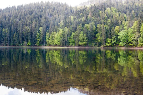 Sinevir lake. Volcanic lake in the Carpathian Mountains — Stock Photo, Image