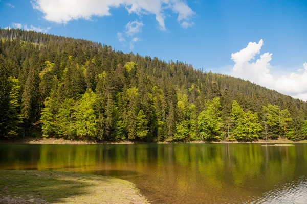 Sinevir jezero. Sopečné jezero v Karpatech — Stock fotografie