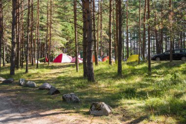 Orman kampında turist çadırları