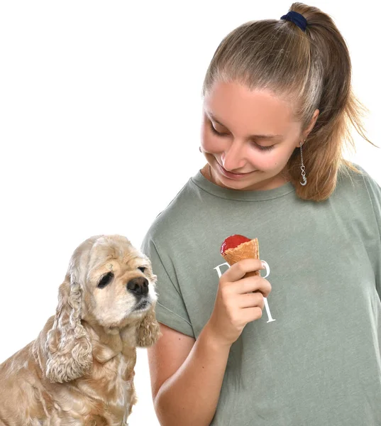 Elegante chica joven con helado posando en el estudio — Foto de Stock