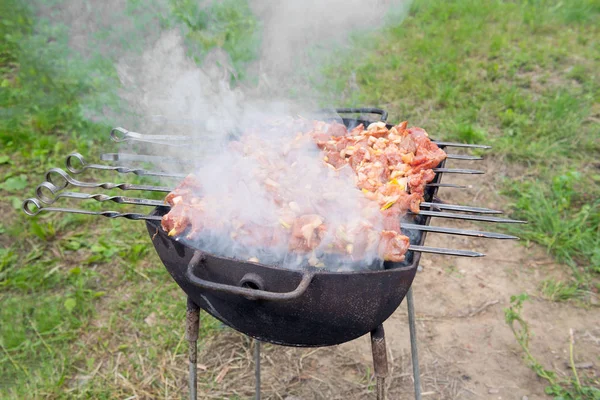 Preparation of tasty barbecue — Stock Photo, Image