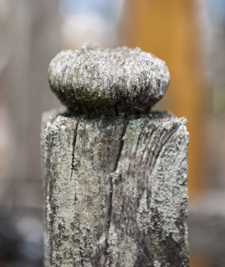 Ahşap dekor açık eski unsuru