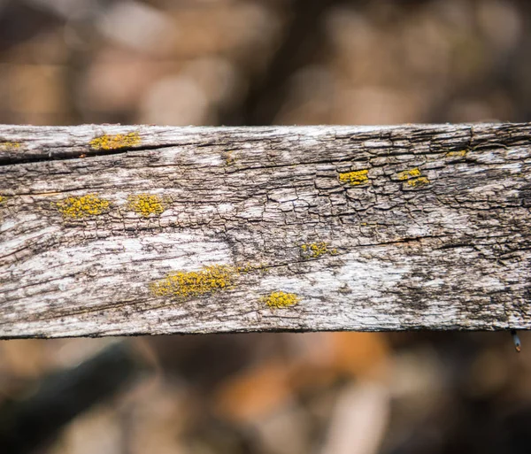 Antiguo elemento de decoración de madera al aire libre — Foto de Stock