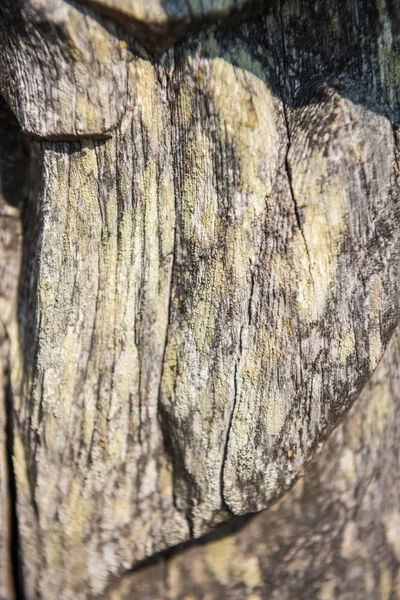 Старий елемент дерев'яного декору на відкритому повітрі — стокове фото