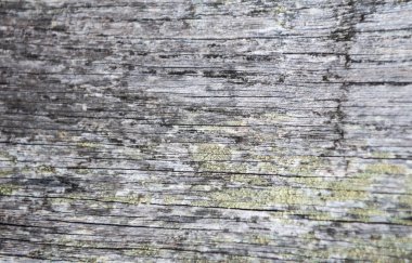 Ahşap dekor açık eski unsuru