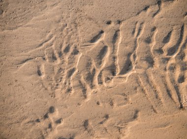 kum arka plan dokusu