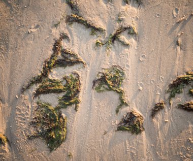 Tasarıma hazır kumlu zemin