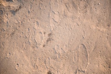 Tasarıma hazır kumlu zemin