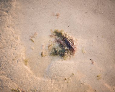 Tasarıma hazır kumlu zemin