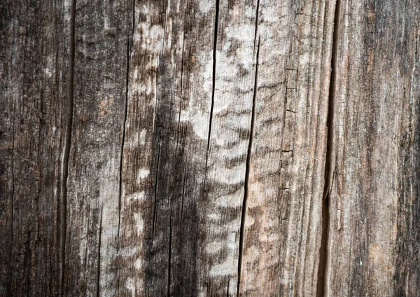 Старый деревянный текстурный фон. Коричневая текстура дерева столетия — стоковое фото
