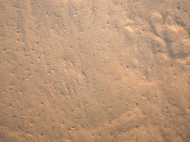  Dalgaların ıslak kum arka plan doku. Plaj kum arka plan