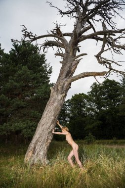 Açık havada poz genç çıplak kadın romantik resim