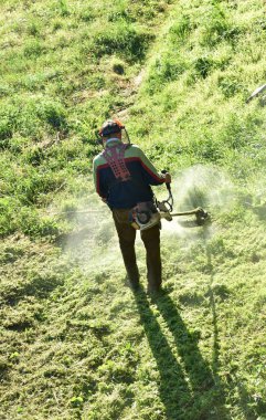 Bahçıvan çim biçme makinesi ile çim biçme