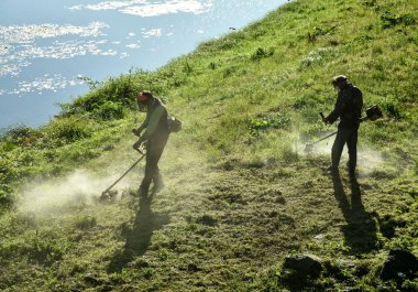 Bahçıvanlar çim biçme makinesi ile çim biçme
