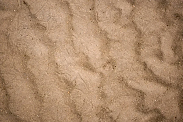 Wellen im nassen Sand Hintergrund Textur — Stockfoto