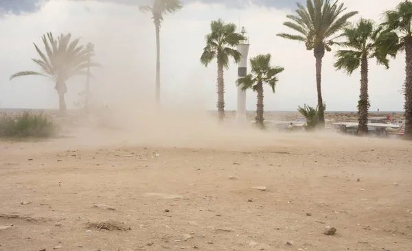 Strong winds blow a massive sandstorm