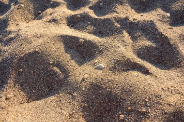 Gün batımında kum arkaplan dokusu