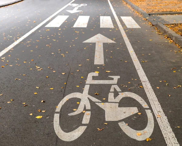Bicycle sign on lane